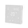 FC607EC PID Touch Screen Thermostat